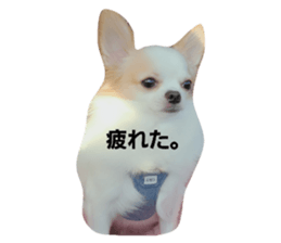 535448088
