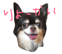53544921