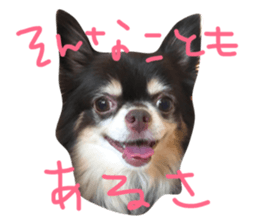 53544933