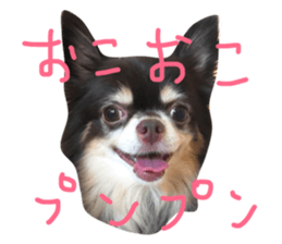 53544943