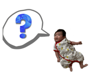 535451081