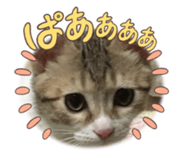 535455246