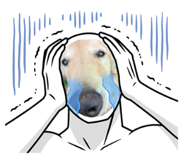 535456129