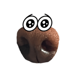 535487618