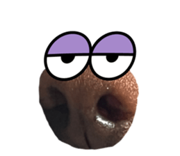 535487620