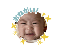 535504259