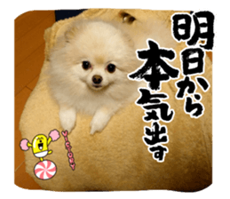 535510060