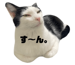 535517382