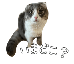 535517915