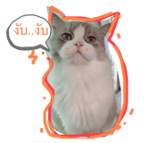 535518767