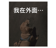 535528309