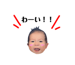 535528446