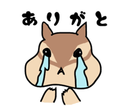 5355477