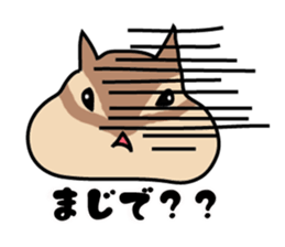 5355483
