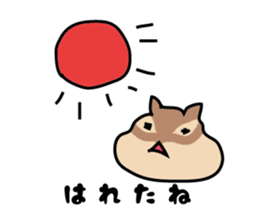 5355484