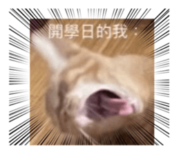 535549934