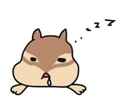 5355504