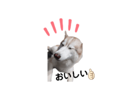 535553271