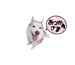 535553275