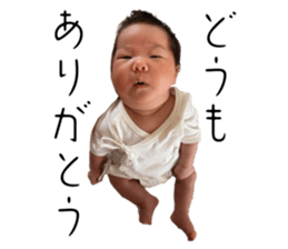 535553916