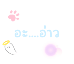 535554439