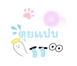 535554443
