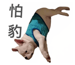 535556025
