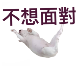 535556041