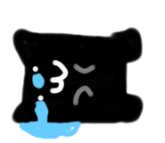 535559864