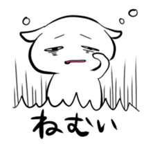 53556