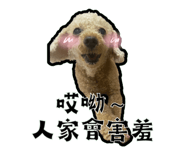 535569074