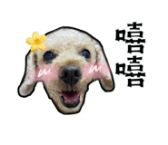 535569078