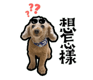 535569088