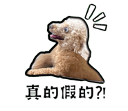 535569104