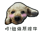 535569107