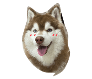 535577734