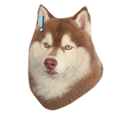 535577735