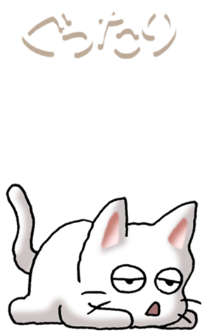 535584077