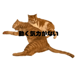535586542
