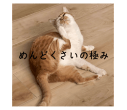 535586557