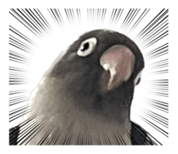535635300