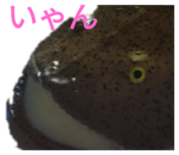 535635663