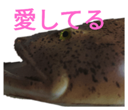 535635668