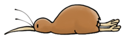 5356558