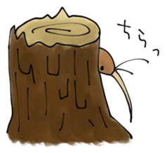5356574