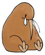 5356576