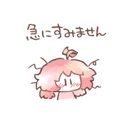 535659080