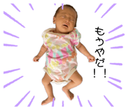 535660520