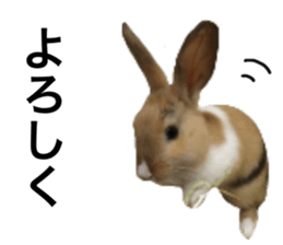 535663403