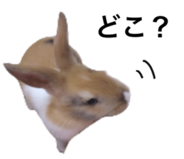 535663407